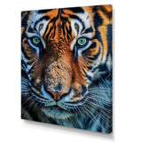 Portrait Of A Wild Tiger Nature Photography - Tiger Canvas Wall Art