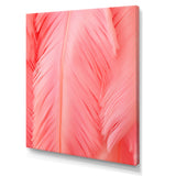 Boho Glam Pink Feather Elegance - Feathers Bedroom Wall Art