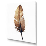Brown Boho Feather On White Watercolor - Feathers Canvas Wall Art
