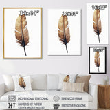Brown Boho Feather On White Watercolor - Feathers Canvas Wall Art