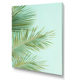 Tropical Palms Leaves Illustration - Feathers Wall Decor