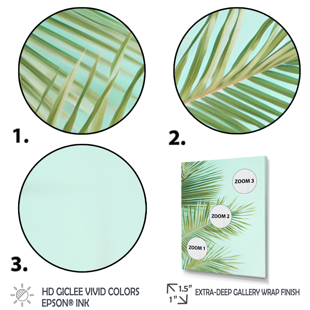 Tropical Palms Leaves Illustration - Feathers Wall Decor