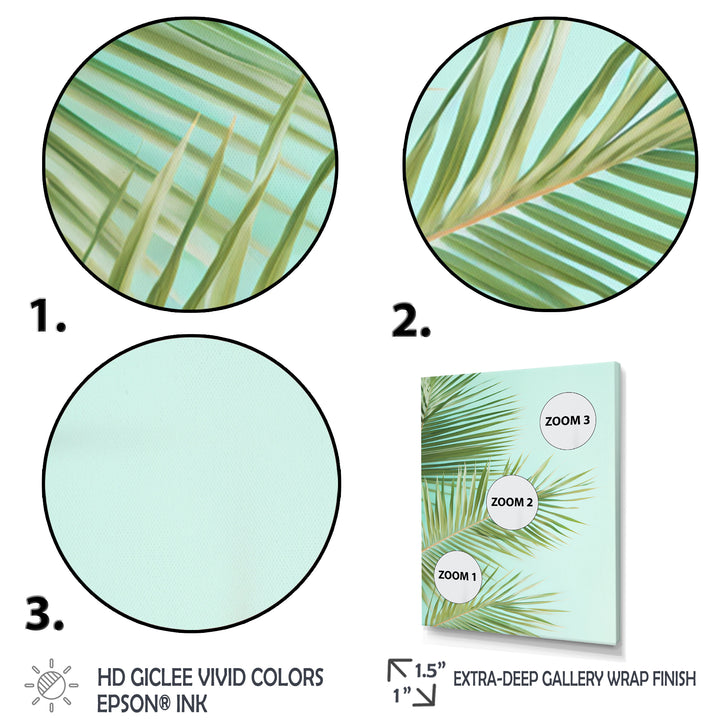 Tropical Palms Leaves Illustration - Feathers Wall Decor