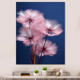 Delicate Pink Dandelion Flowers On Blue Sky - Feathers Wall Art Prints