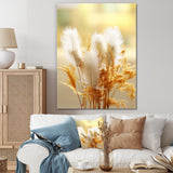 Delicate Spring Blossoming In The Meadows - White Feathers Wall Art