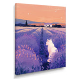White Cat In Lavender Field - Cat Wall Decor