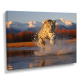 Cougar Running In The Mountain River - Cheetah Bedroom Wall Art