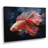 Vibrant Red Betta Fish Majestic Tail - Orange Fish Wall Art