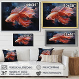 Vibrant Red Betta Fish Majestic Tail - Orange Fish Wall Art