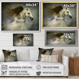 White Dancer With White Horse - Horse Wall Art Prints