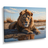 Lion Resting By The Water Pool - Lion Wall Art Prints