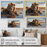 Lion Resting By The Water Pool - Lion Wall Art Prints