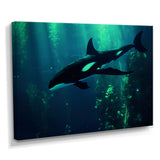Deep Ocean Orka God Rays - Black Coastal Animal Wall Art