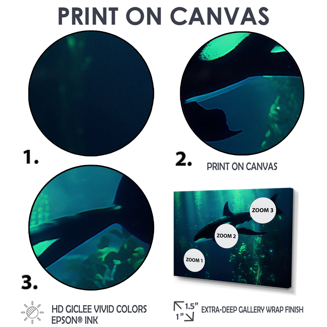 Deep Ocean Orka God Rays - Black Coastal Animal Wall Art
