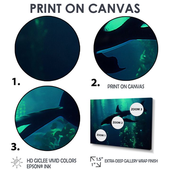 Deep Ocean Orka God Rays - Black Coastal Animal Wall Art