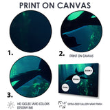Deep Ocean Orka God Rays - Black Coastal Animal Wall Art