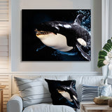 Smiling Deep Sea Orka - Coastal Animal Large Canvas Wall Art