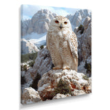 Majestic White Snow Owl In The Mountains - Owl Wall Art Prints