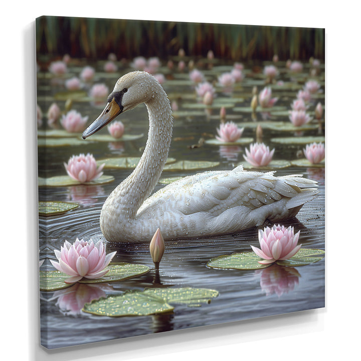 White Swan In Pond Blossoming Pink Lotus - Swans Canvas Wall Art