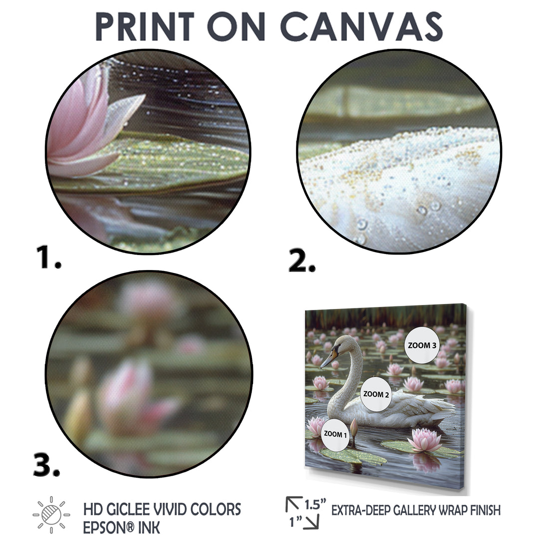 White Swan In Pond Blossoming Pink Lotus - Swans Canvas Wall Art