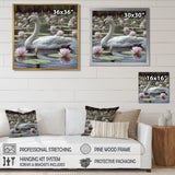 White Swan In Pond Blossoming Pink Lotus - Swans Canvas Wall Art