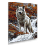 Wild Grey Wolf By Mountain River - Wolf Framed Canvas Art
