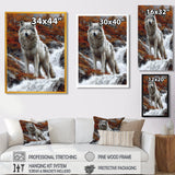 Wild Grey Wolf By Mountain River - Wolf Framed Canvas Art