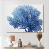 Detailed Blue Coral On White Retro Illustration - Coral Wall Decor