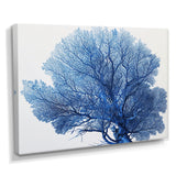 Detailed Blue Coral On White Retro Illustration - Coral Wall Decor