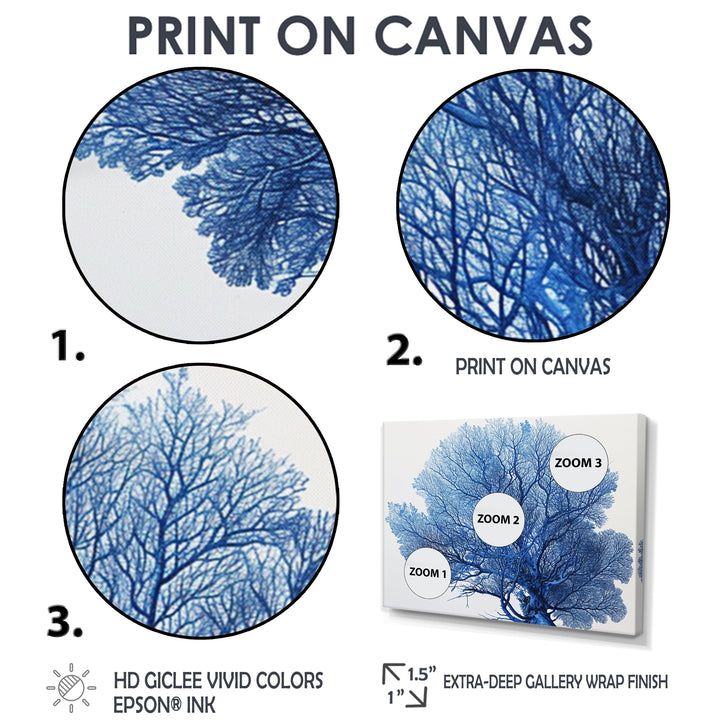 Detailed Blue Coral On White Retro Illustration - Coral Wall Decor