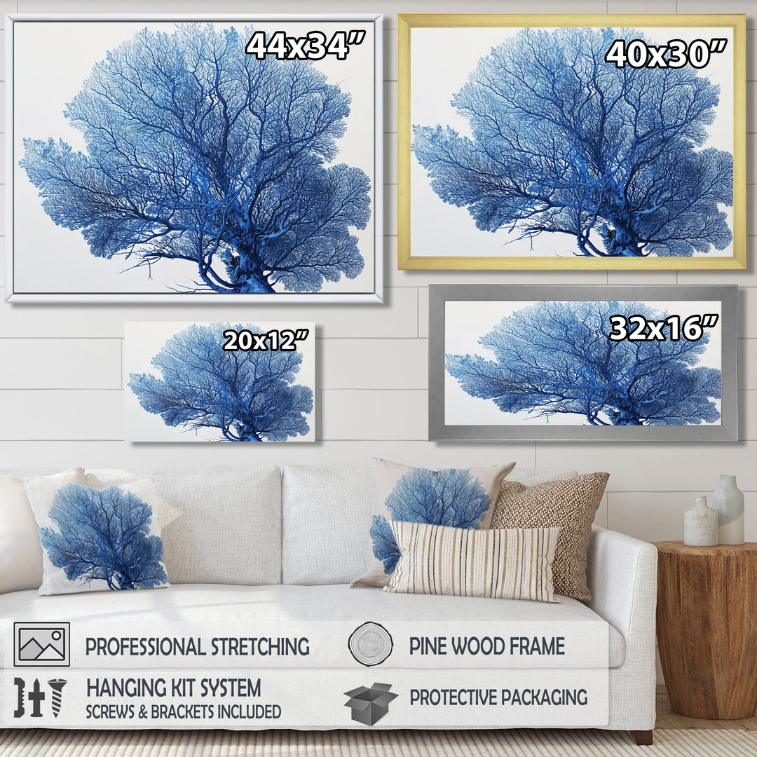Detailed Blue Coral On White Retro Illustration - Coral Wall Decor