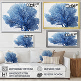 Detailed Blue Coral On White Retro Illustration - Coral Wall Decor