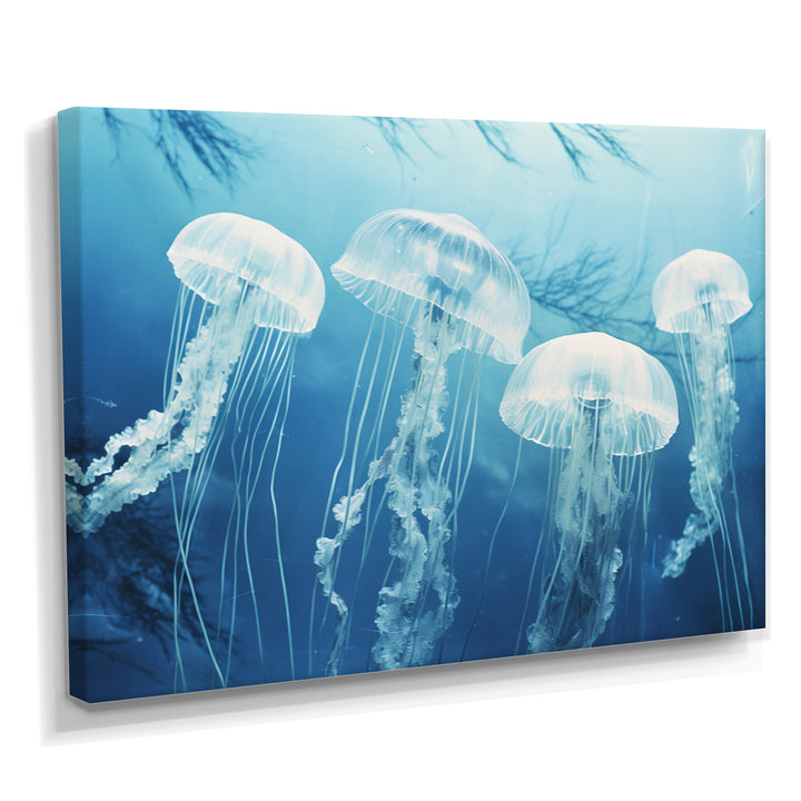 Four White Jellyfish Floating To The Ocean Surface Sunlight - Blue Jellyfish Wall Art