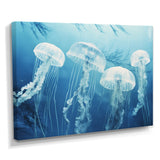 Four White Jellyfish Floating To The Ocean Surface Sunlight - Blue Jellyfish Wall Art
