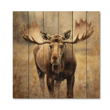 Moose Serenity I - Wood Wall Art