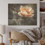 Peach Flower On A Dark Grey Background - Wood Wall Art