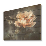 Peach Flower On A Dark Grey Background - Wood Wall Art