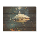 Underwater Shark attack II - Wood Wall Art