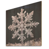 Crystal snowflake tranquility I - Wood Wall Art