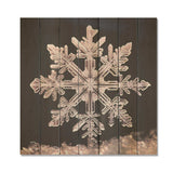 Crystal snowflake tranquility I - Wood Wall Art