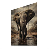 Monochrome Elephant Portrait I - Wood Wall Art