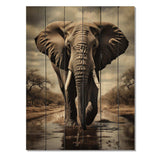 Monochrome Elephant Portrait I - Wood Wall Art