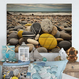 Yellow Grey Seashell On The Beach - Wood Wall Art