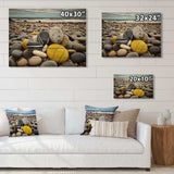 Yellow Grey Seashell On The Beach - Wood Wall Art