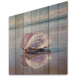 Beige Clam Seaside Reflections - Wood Wall Art