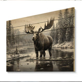 Brown White Moose Winter Majesty - Wood Wall Art