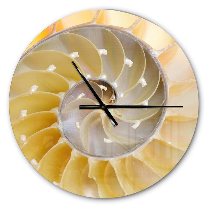 Isolated Nautilus Shell - Abstract Metal Wall Clock
