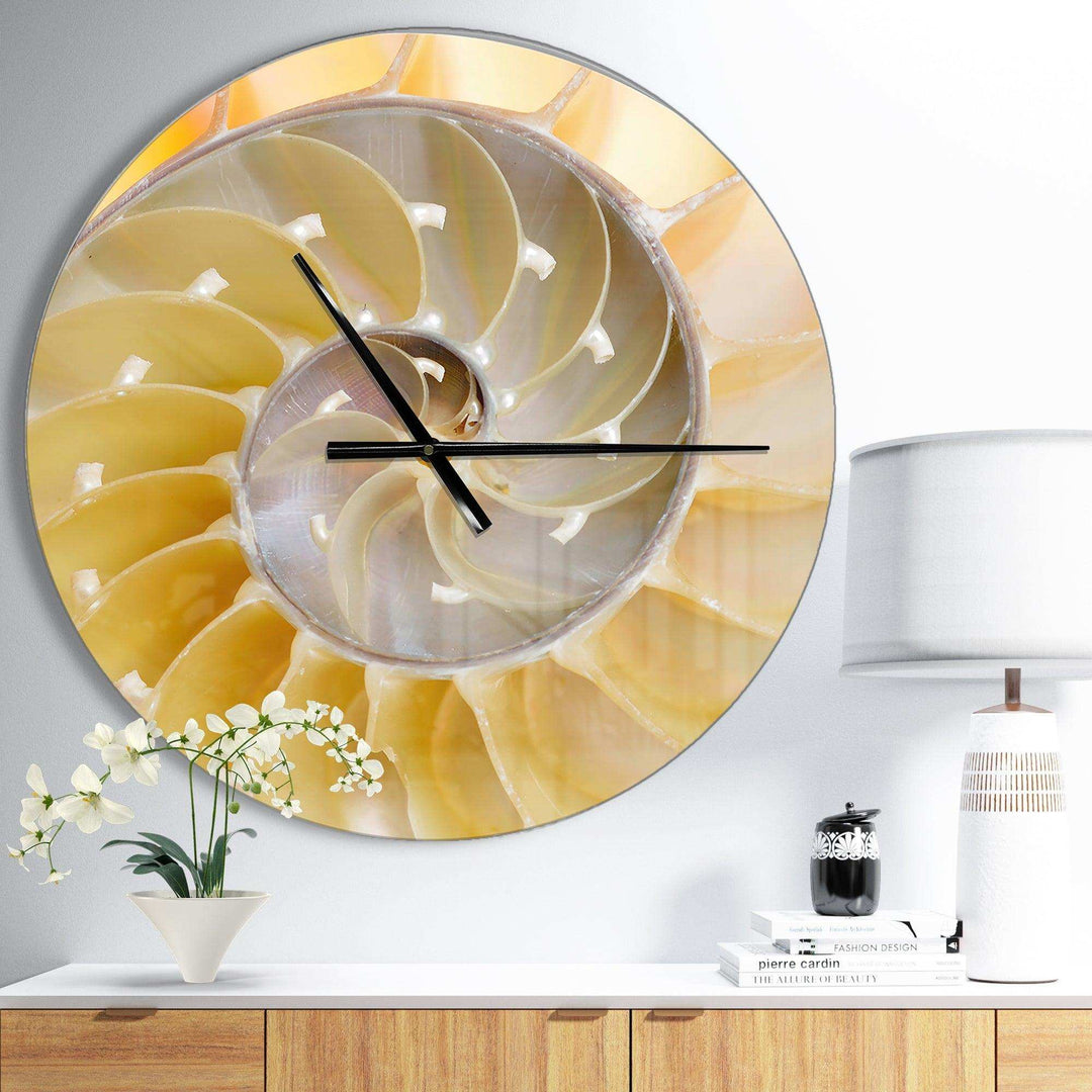 Isolated Nautilus Shell - Abstract Metal Wall Clock
