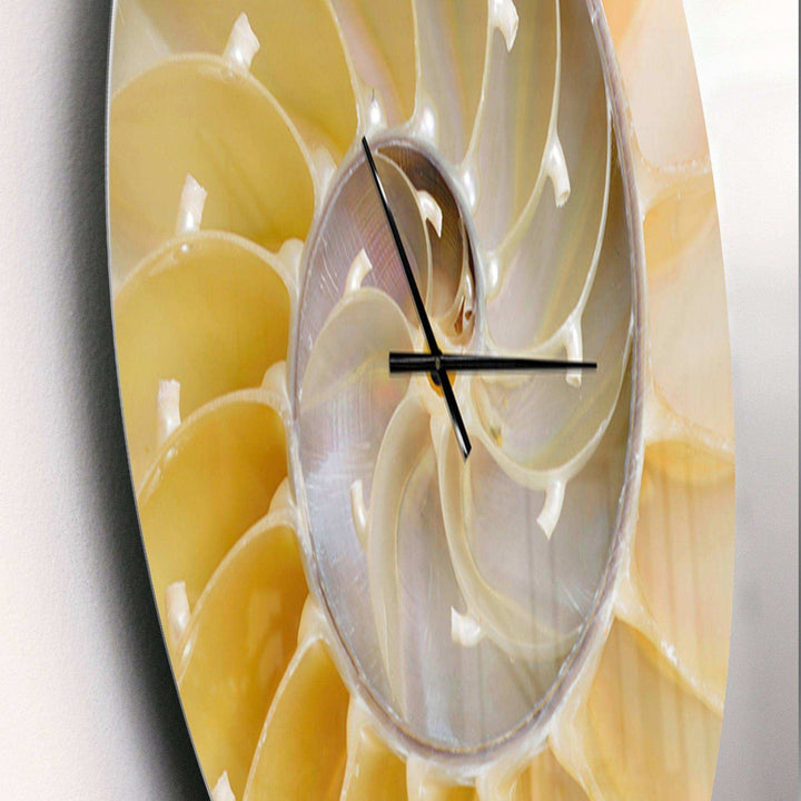 Isolated Nautilus Shell - Abstract Metal Wall Clock