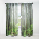 Hoh Rain Forest' Landscape Curtain Panel